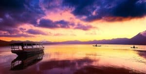 Purple Beauty Purple Beauty