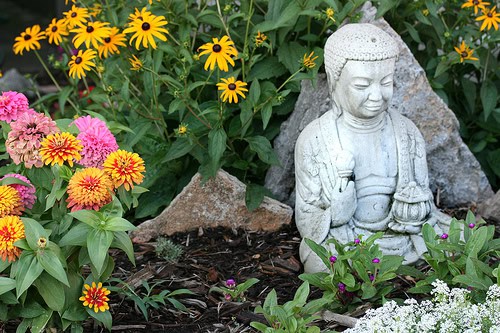 Buddha Garden