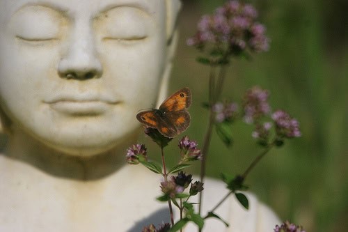 Peaceful Buddha