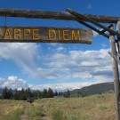 Carpe Diem Carpe Diem