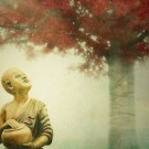 Buddha Under a Tree