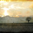 Mindfulness Mindfulness