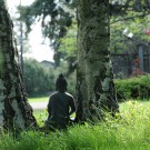 Buddha Sitting Between Trees Buddha Sitting Between Trees
