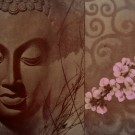 Buddha and Flowers Buddha and Flowers