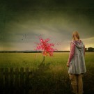 Soul Searching