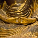 Peaceful and Confident