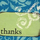 Thanks Thanks