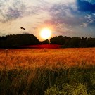 Beautiful World