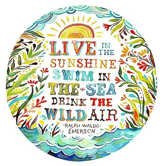 Live in the Sunshine