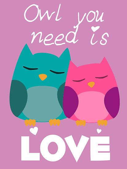 Owl You Need Is Love
