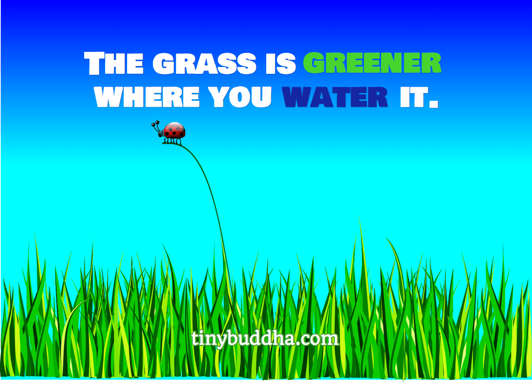 Grass Is Greener