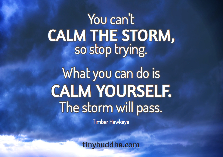 You Cant Calm the Storm