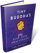 Tiny Buddha's 365 Tiny Love Challenges book cover