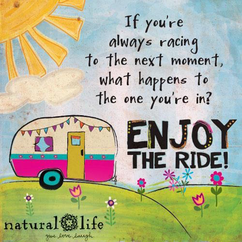 Enjoy the Ride