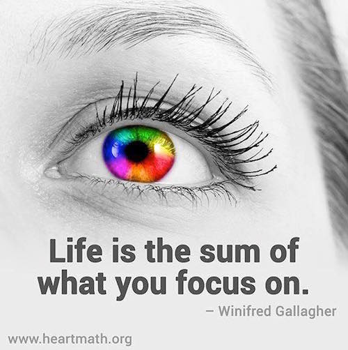 Life is the sum of what you focus on
