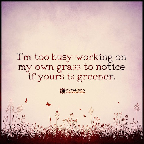 I'm too busy working on my own grass