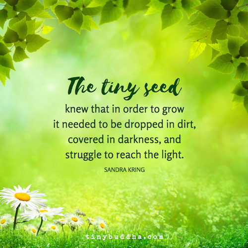 The tiny seed