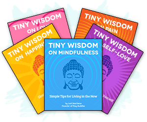 Tiny Wisdom books